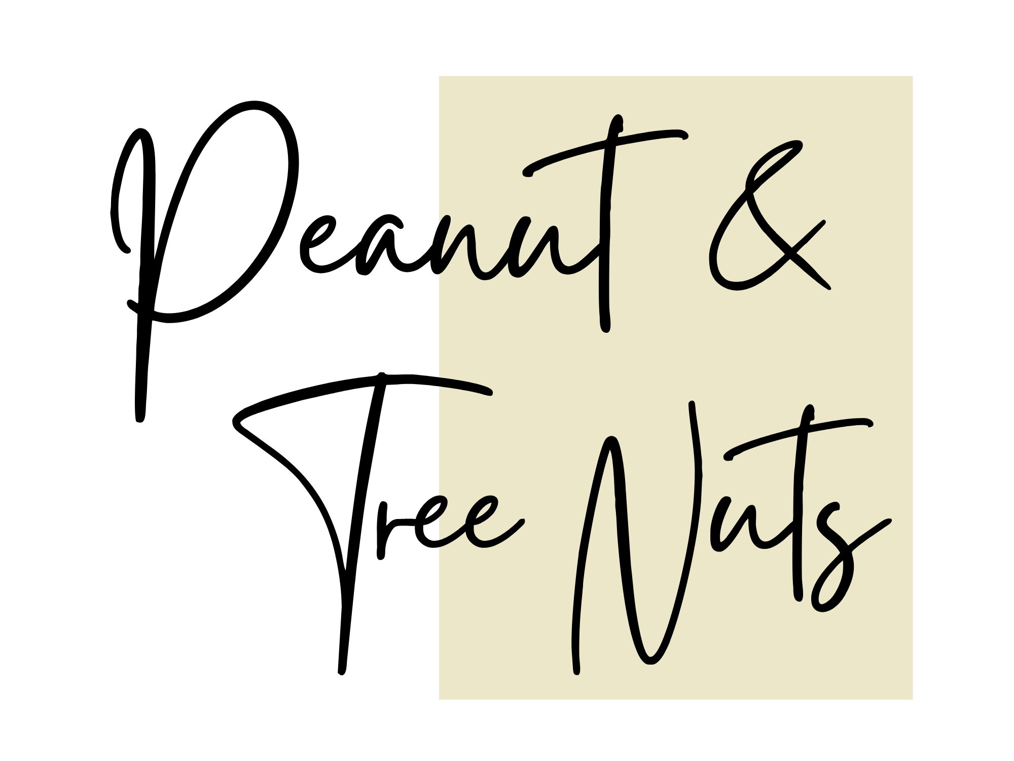 Peanut and Tree Nut Free Menus by The Catering Station, catering company serving the greater South Jersey area